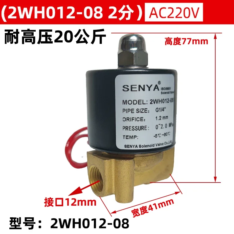 High pressure solenoid valve 0545 all copper 8MPa air valve 2/3/4 minute 16/20/80/120KG