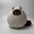 Siamese Cat