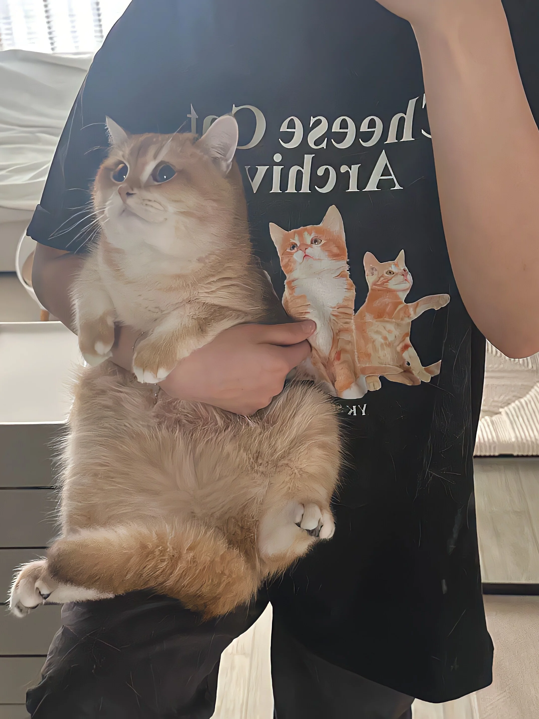 T-shirt ort Sve avec lettres imprimées fromage Orange, 00% coton, coréen, coupe ample, haut d'été pour jeunes femmes