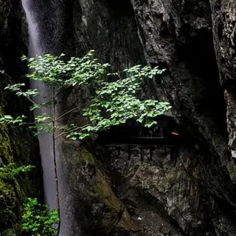 

IFlight XING 2814 880KV/1100KV Бесщеточный двигатель с валом 5 мм, совместимый с рамочным пропеллером 8–9–10 дюймов 3–6S для RC FPV Drone