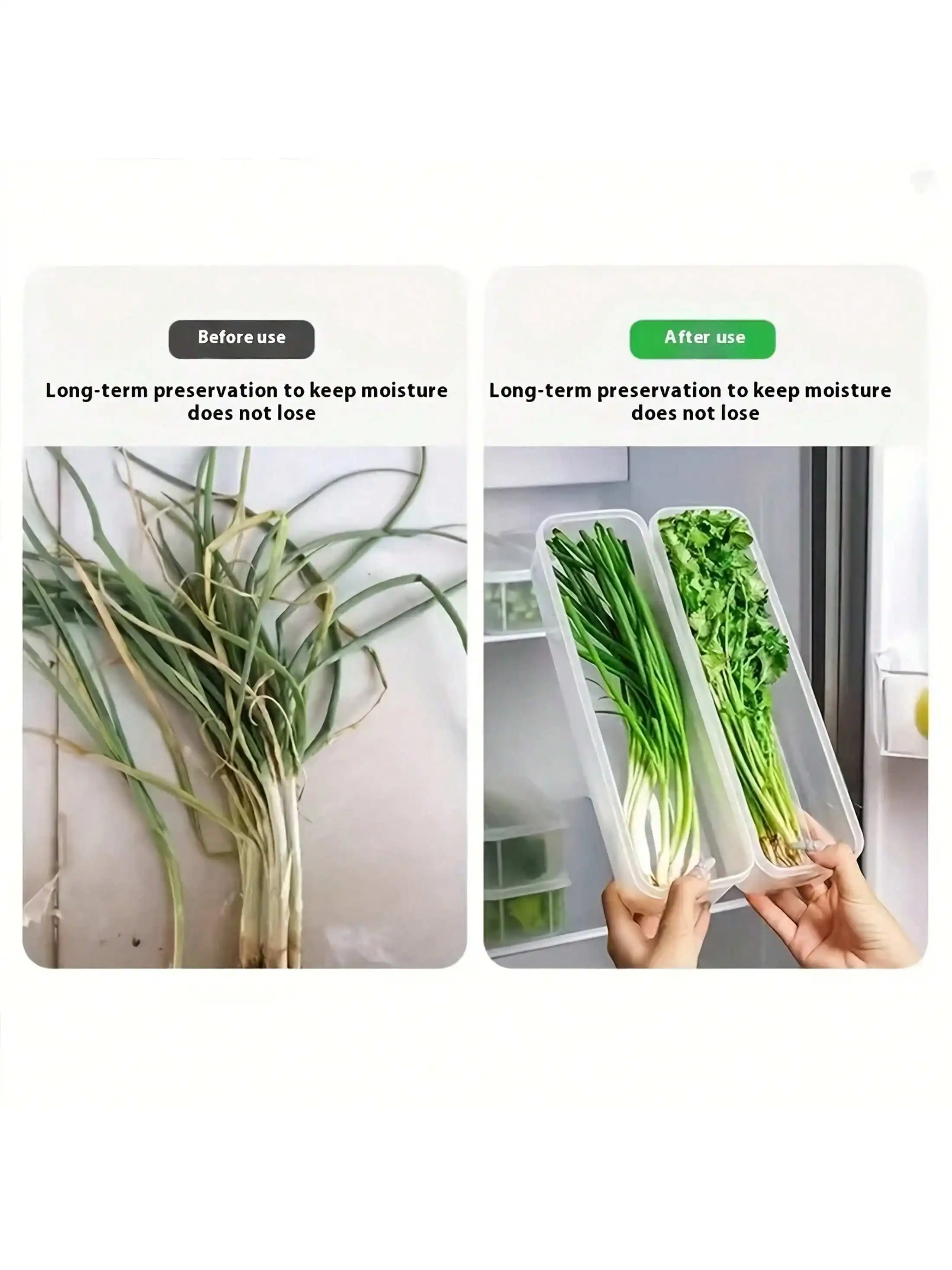 2/4 قطعة حاويات تخزين الطعام المستطيلة، صناديق تنظيم الثلاجة البلاستيكية القابلة لإعادة الاستخدام للبصل الأخضر والبقدونس وسيليانترو #4