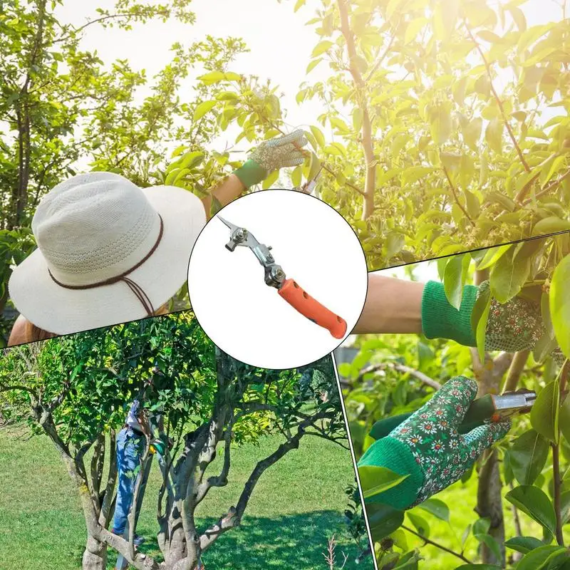 Cortador de anillos para árboles frutales, tijera para ramas de árboles, cortador de corteza, herramienta de recorte, pelador de jardín para árboles frutales