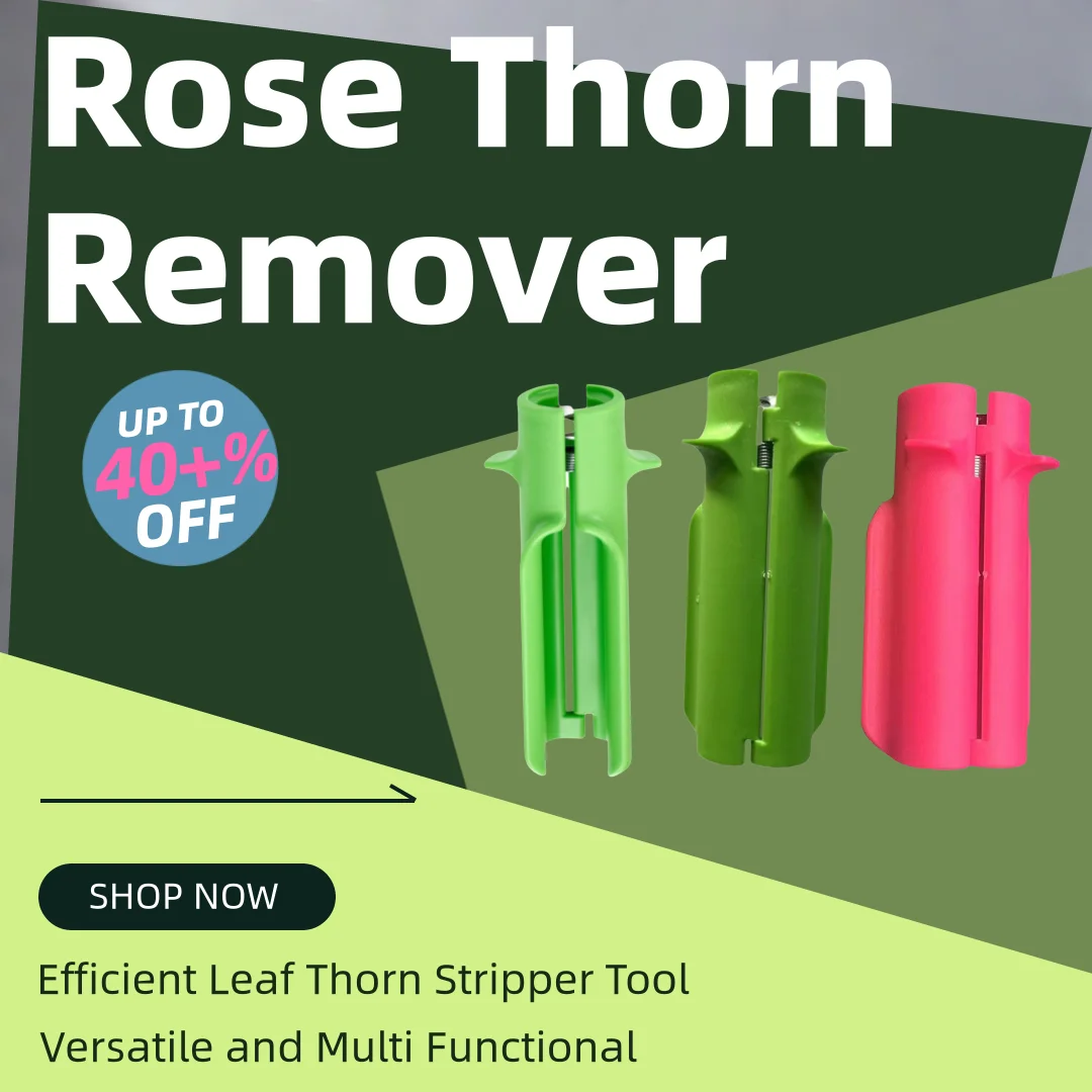 

Rose Thorn Remover Leaves Removal Rose Cleaner Tool Rose Stripper Thorn Remover Tool Stem Cleaner Florist Tools Gardening Flower