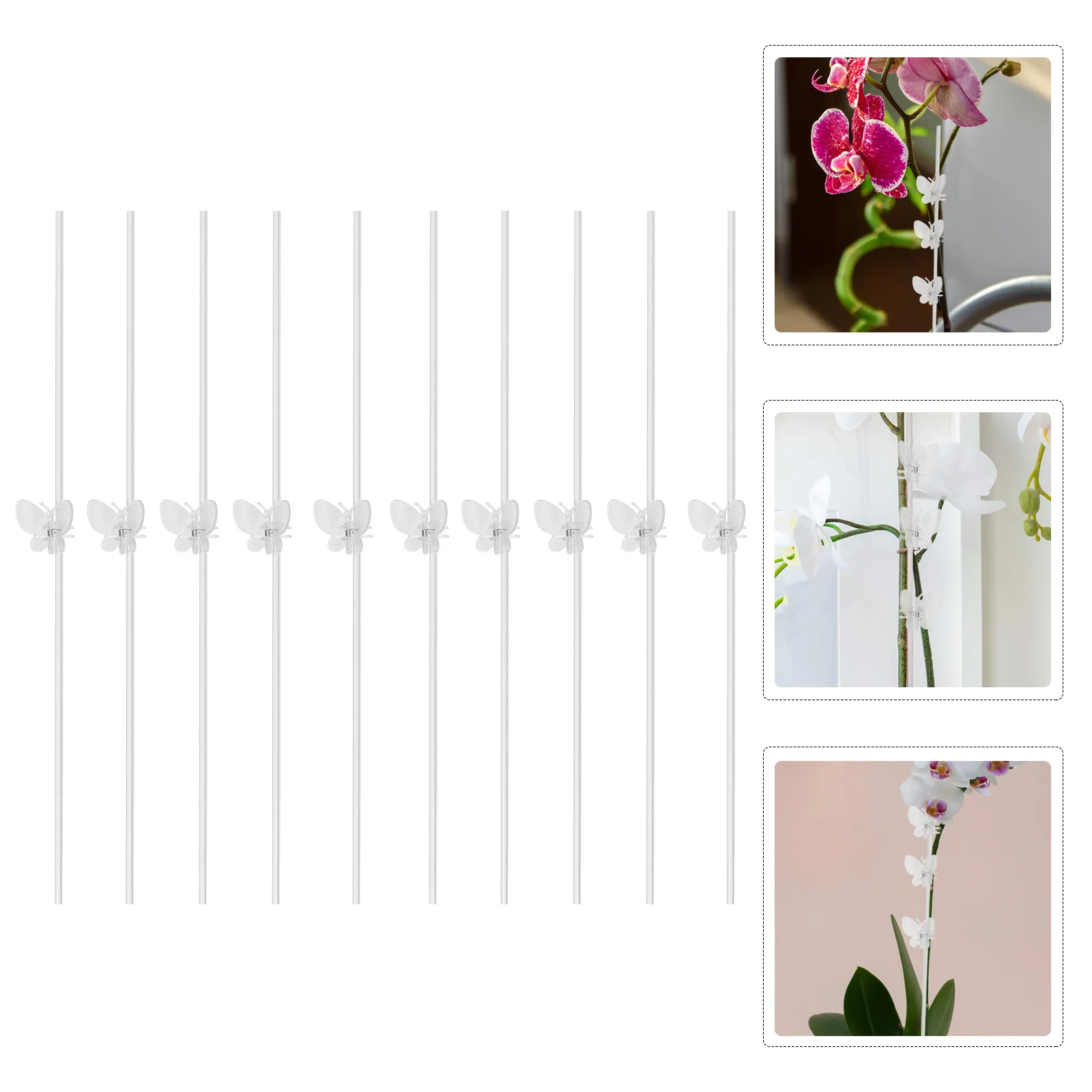 

1 Set Transparent Plastic Plant Support Stake For Vine Plants Garden Stem Support Pole Potted Plant Bracket Climbing Scaffold