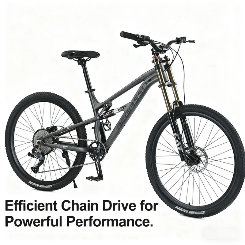 High-End 11-Speed O… - image