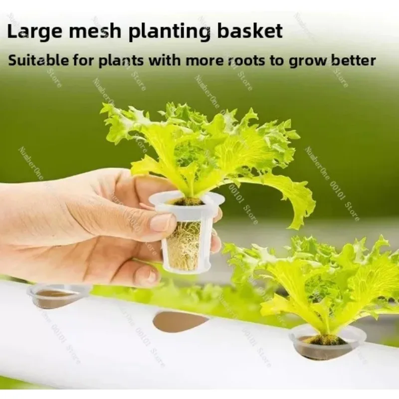 Container Vertical Hydroponic Grow System, Plant Factory For Lettuce & Microgreens Greenhouse Cultivation