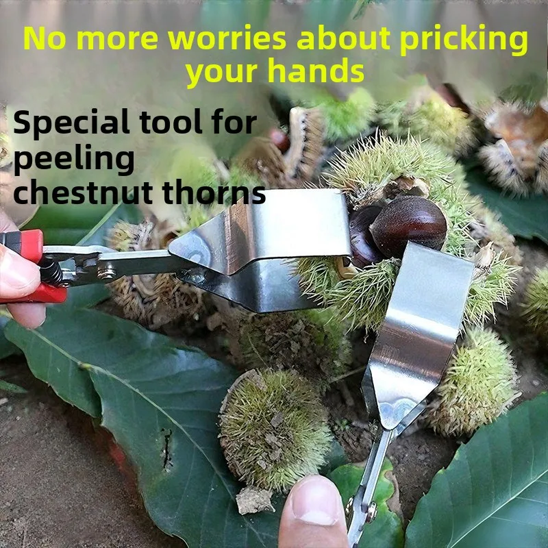 Pelador de castañas, pelador de bolas de espina de castaña, herramienta de pelado de Clip de castaña con apertura de concha