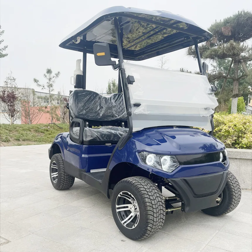 Affordable China Electric Golf Cart Independent Front Suspension 14-Inch Off-Road Tires Aluminum Alloy Wheels Electric Golf Cart