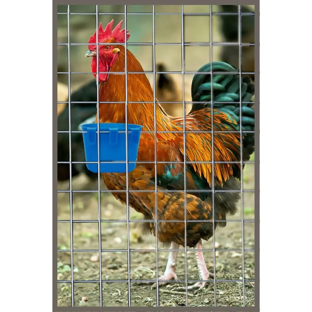 Hot Selling 10 Pack Cage Cups Birds Feeders Seed Bowl Chicken Feeding Watering Dish Rabbit Water Food Hanging Wire Cages Box 8oz Coop Cups for Pet Parrot Parakeet Gamefowl Poultry Pigeon Premium Quality view 4