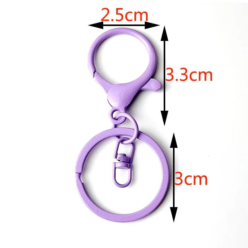 Colorful Large Lobster Clasp Metal Keychain, 6-30Pcs Set