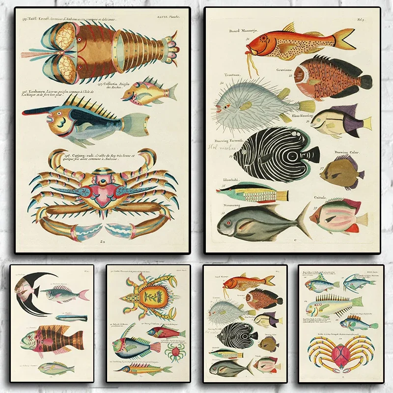 Educational Posters Insect Birds Fish Animal Vintage Home Bar Cafe Decor Art Wall Painting Wall Decor Poster Canvas Painting