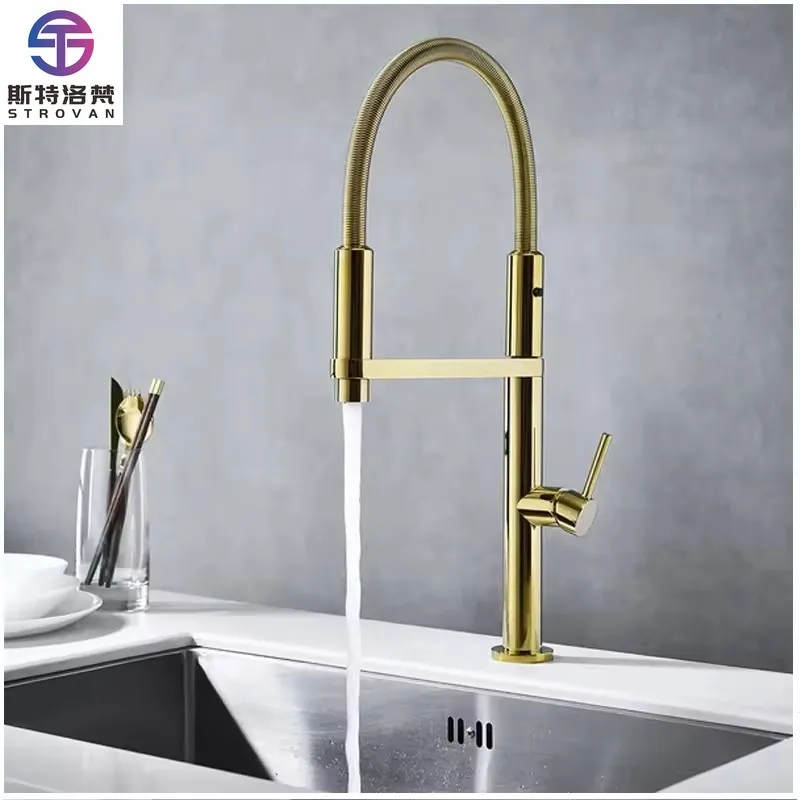 

New Style Faucet Gold Spring Brass Kitchen Faucet With Pull Down Sprayer Single Handle Kitchen Sink Tap