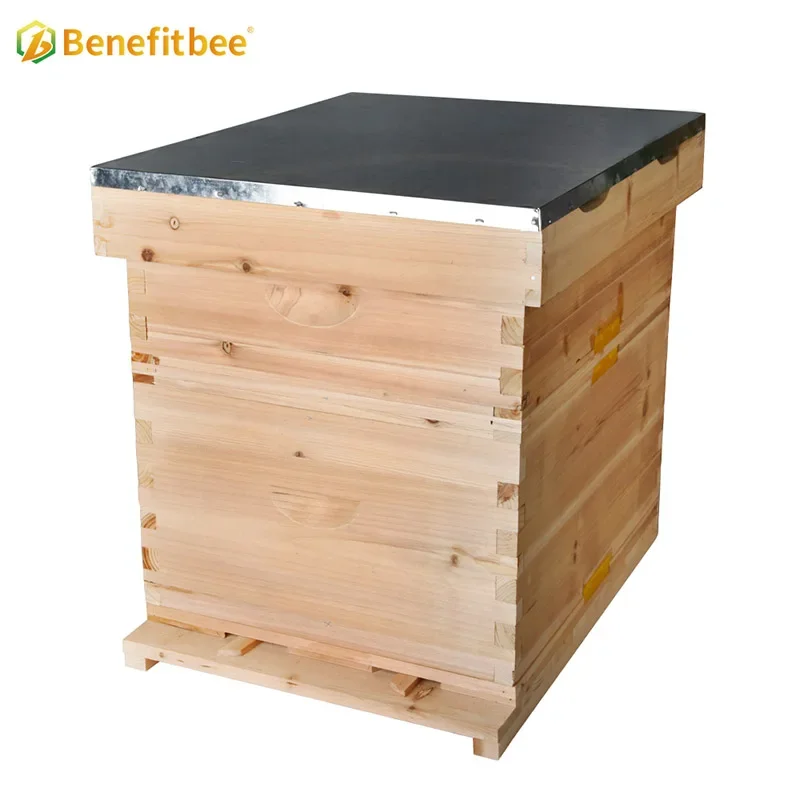 Wholesale Beekeeping 10 Frames Kenya Set Bee Hive Kit Wooden Beehive