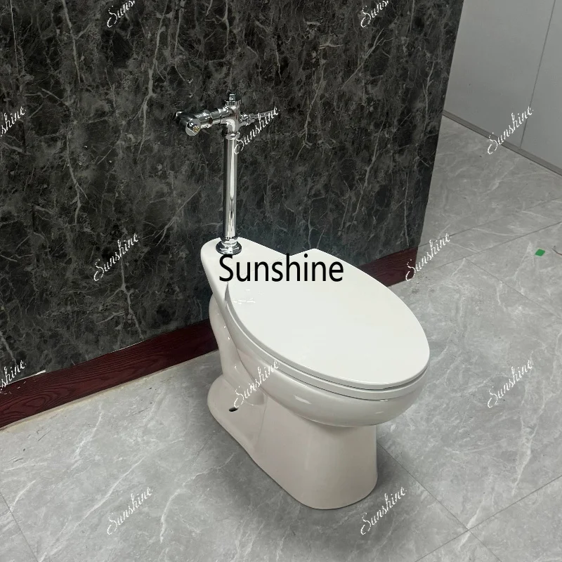 Flush valve, toilet, public bathroom, barrier-free toilet, water inlet