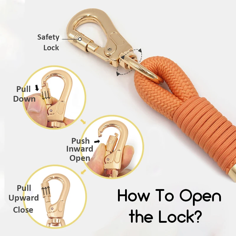 طوق ومقود مخصص للكلاب من المخمل باللون الأخضر الزمردي الفاخر، طوق هدية فاخر للكلاب قابل للتعديل مع اسم الرصاص المتين