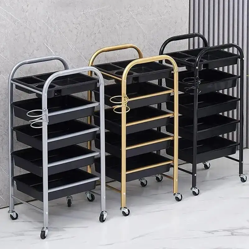 

Cart Hairdresser Barber Beauty Professional Furniture Manicure Salon Utility Trolley Lash Stainless Steel Muebles Belleza Spa