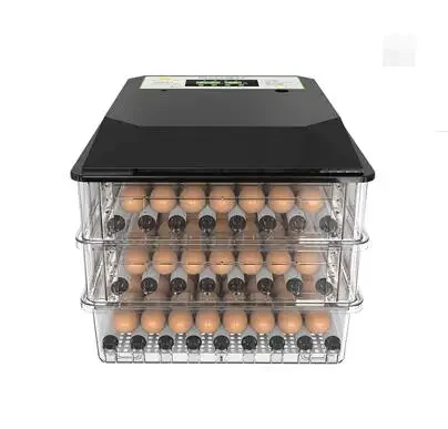 65 128 192 Eggs Chicken Incubator, New Design Mini Egg Incubator