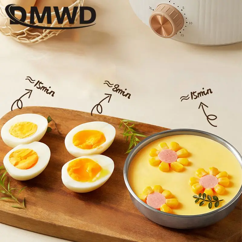 Dmwd 2 Layer Multifunctionele Eierkoker Ei Vla Stoomboot 304 Roestvrijstalen Omeletten Machine Voedsel Heater Crêpe Maker 220V