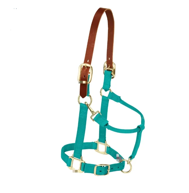 

Съемная уздечка для лошадей с регулируемой застежкой на подбородке и шее, универсальный дизайн для тренировок и ухода.