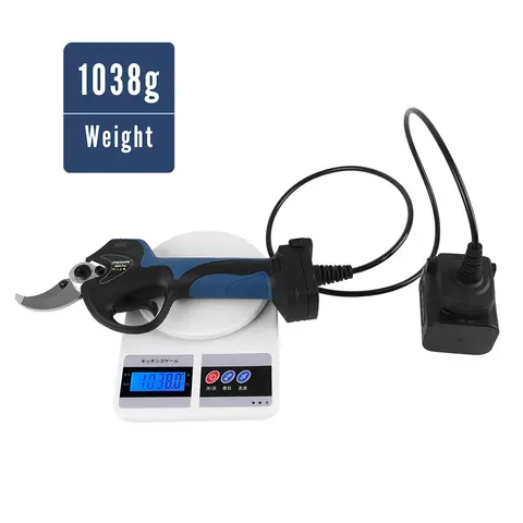 10 best sales elektrisk sekatör swansoft - №9