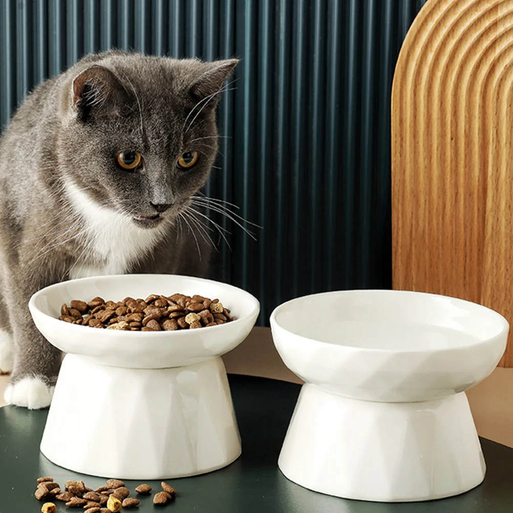 

Raised Cat Food Bowl Ceramic Elevated Pet Feeding Bowl Large Capacity Easy Water and Food Dish Kitten Puppy Feeder