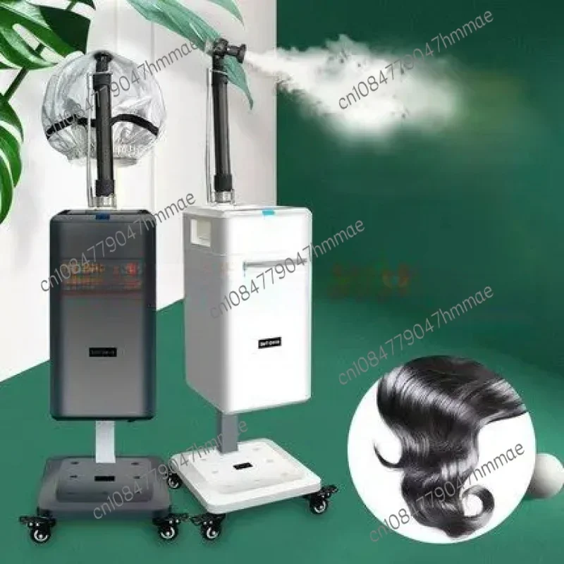 Top Professional Cap Bonnet Ionic Hair Salon Steamer With Hari SPA Care Treatment