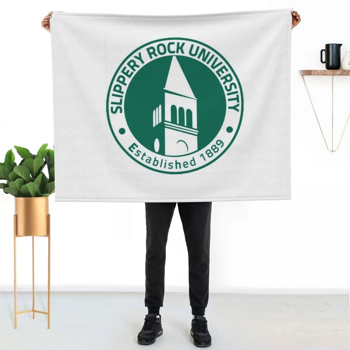 slippery rock seal Throw Blanket Luxury St Bed linens warm winter Cute Plaid Personalized Gift Sofa Blankets