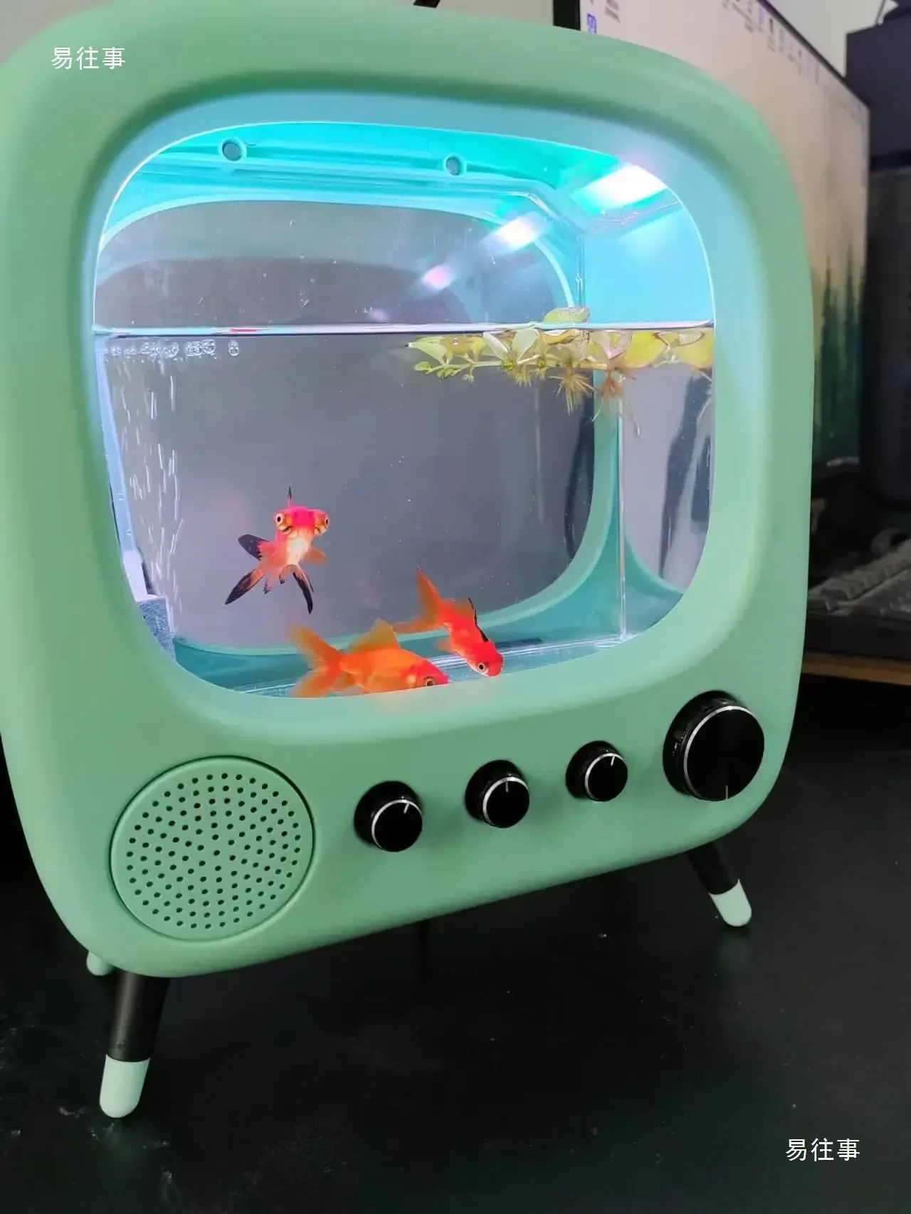 TV Fish Tank Thai Fish Tank Vintage Desk Office Desk Net Red Aquarium with Light Built-in Heating Constant Temperature Fish Tank