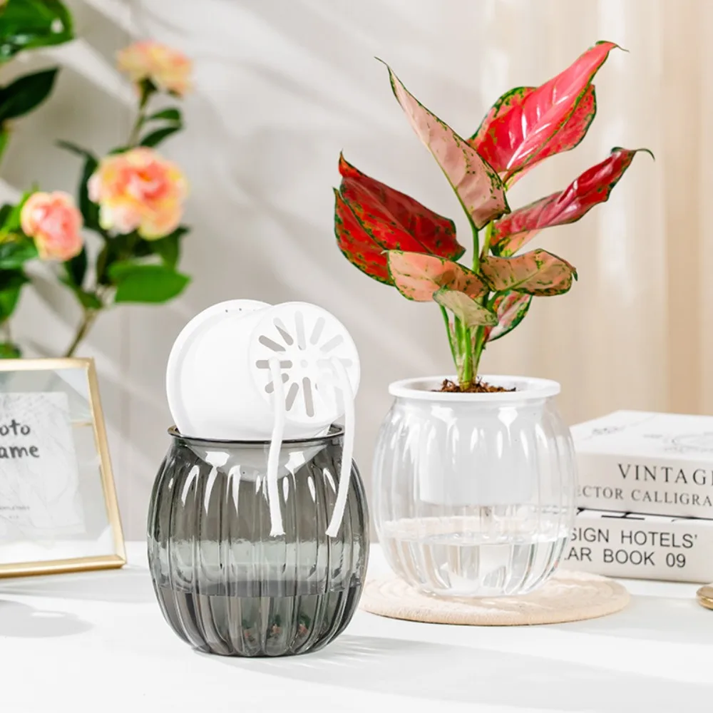 أصيص زهور مائي على الطراز الشمالي مصنوع من البلاستيك مع حبل قطني يمتص الماء وشفاف ومتين