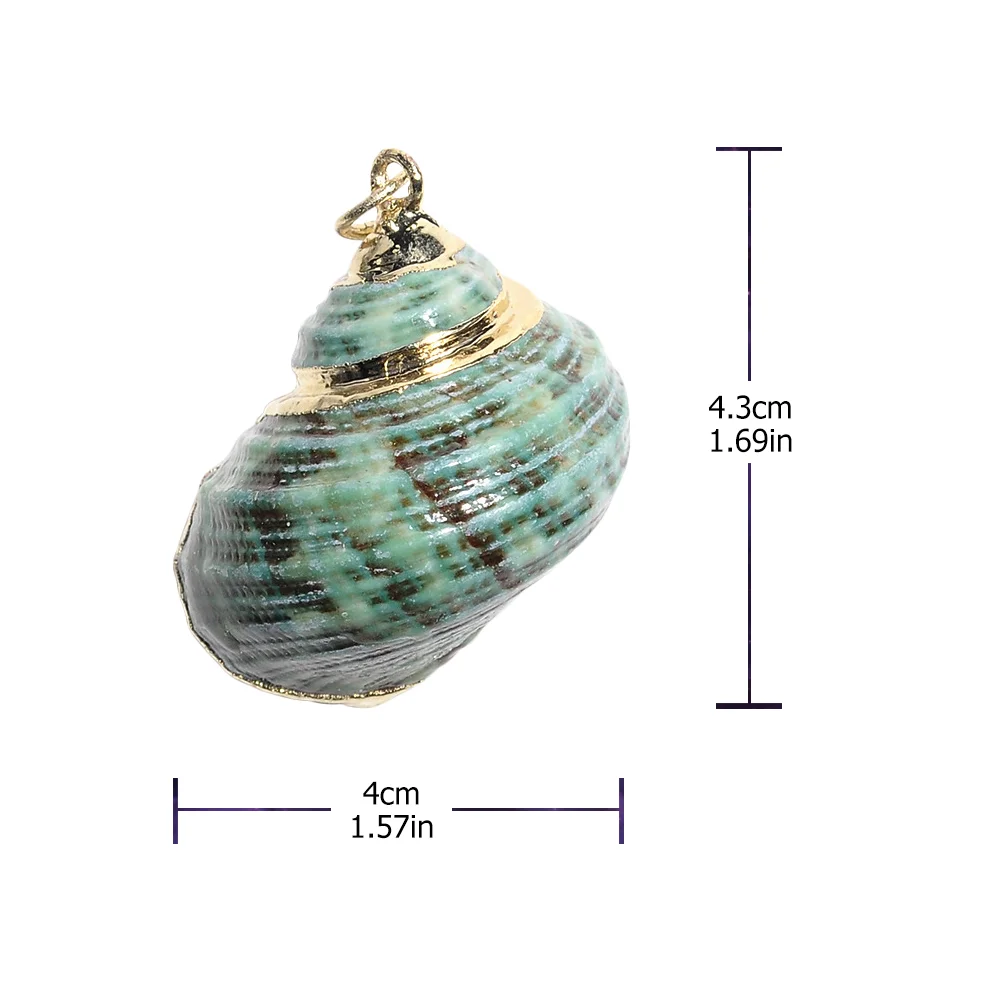 12pcs Shells Jewelry Accessories DIY Natural Shells Manual Jewelry Accessories(Mixed) Shell Jewelry Parts