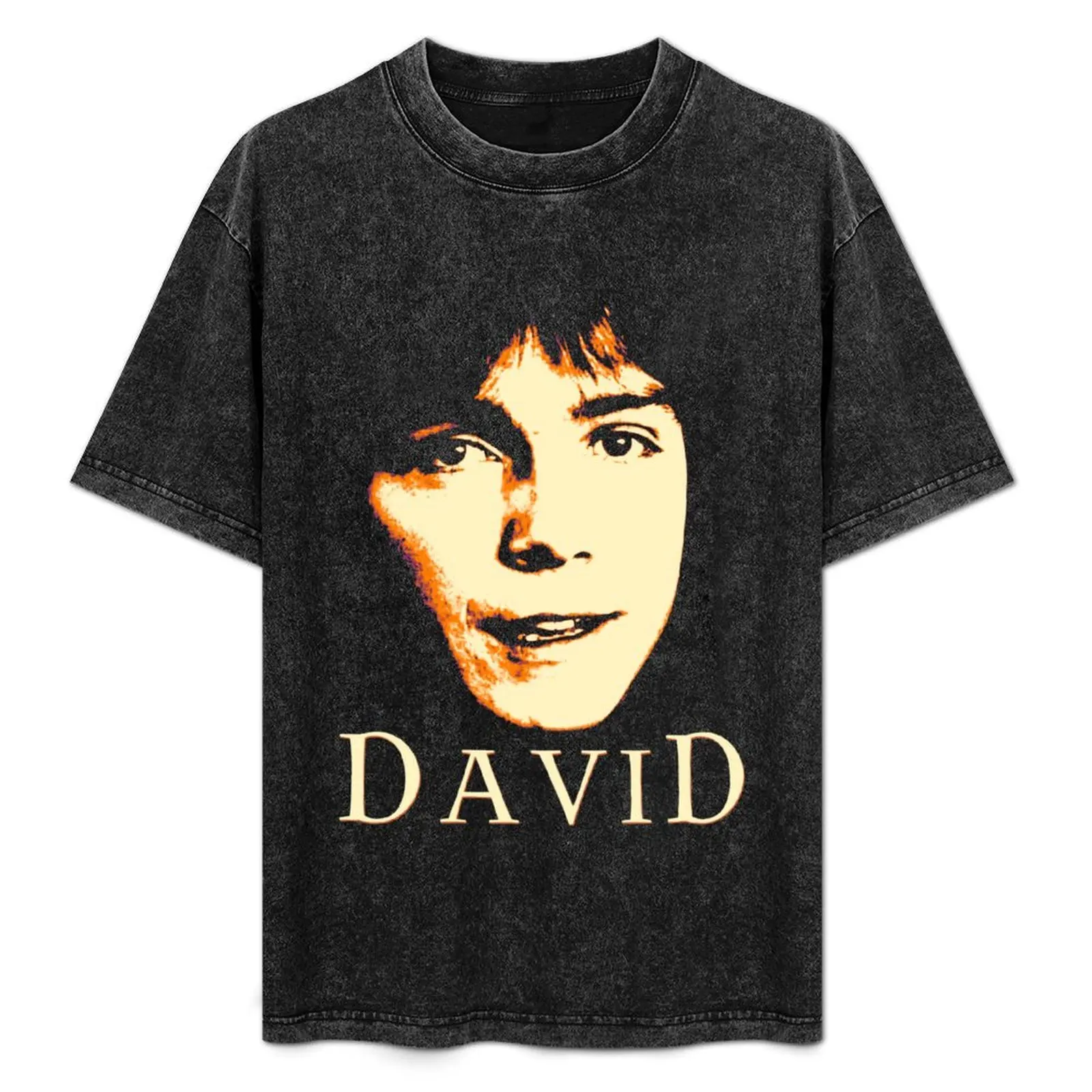 

David T-Shirt Plus Size Loose Short Sleeve Top