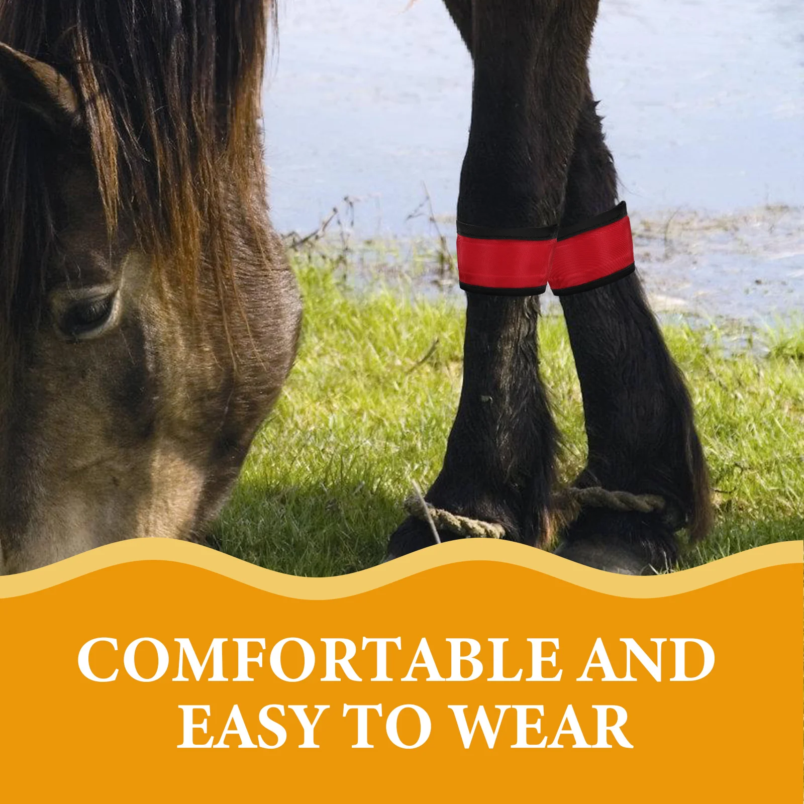 4 قطع من أربطة أرجل الحصان LED تتوهج في أشرطة الكاحل الداكنة للرؤية الليلية معدات السلامة خفيفة الوزن المحمولة #3