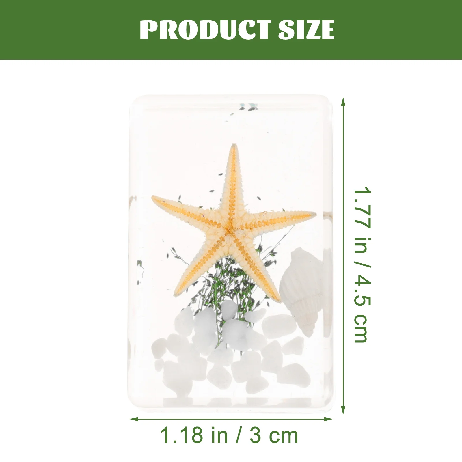 3 قطعة عينة نجمة البحر الراتنج زخرفة سطح المكتب المحيط الحيوانات الديكور ديكور المنزل مكتب الحرفية هدية