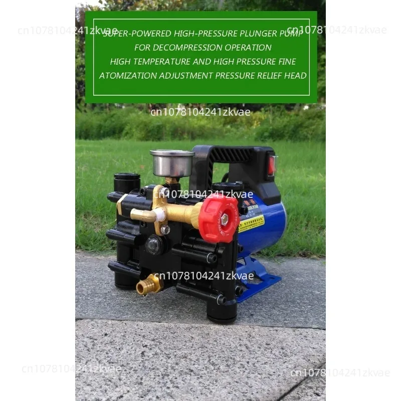 Irrigation Sprayer 12V/24V/60V/72V/220V Plunger Agricultural Sprayer Electric High Pressure Pump Spraying Car Wash