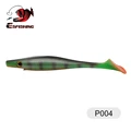 P004
