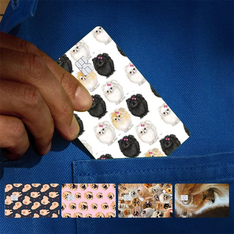 Pomeranian Dog Cove…