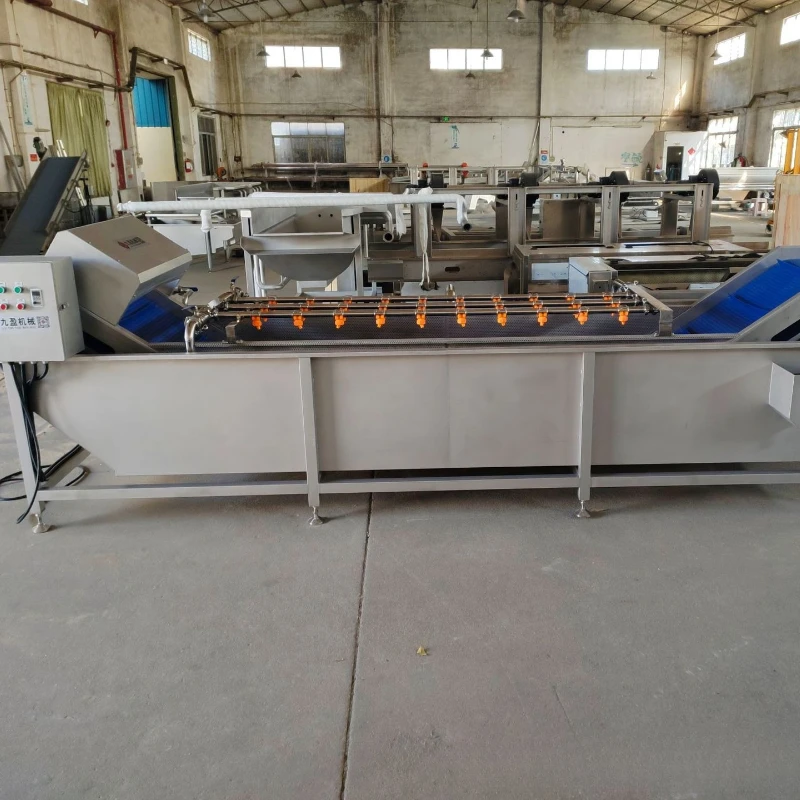 

Green vegetables, spinach, fur, whole vegetable cleaning production line