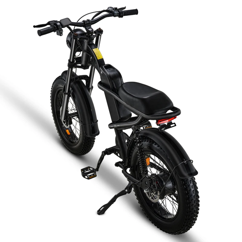 

Полный подвесной электровелосипед Riding'times V8, 20 дюймов x 500 дюймов, электрический велосипед с мотором Вт, батареи 15 Ач 48 В, велосипед с толстыми шинами