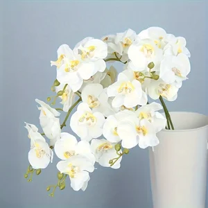 En çok satılan 12 ürün veya ücretsiz kargo fikirleri-no 5