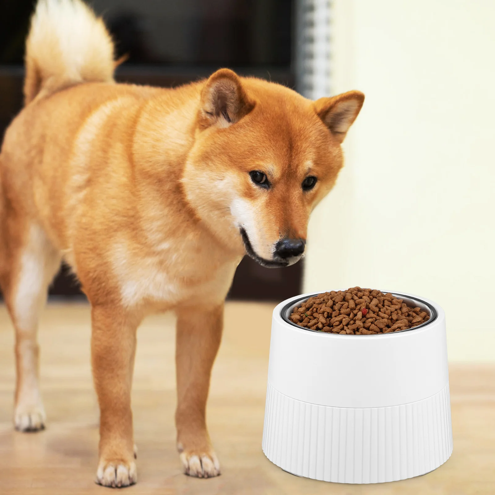 

Elevated Dog Raised Pet Bowl Removable Bottom Adjustable Height Stainless Steel Kitten Feeding Container Stable Stand Cat