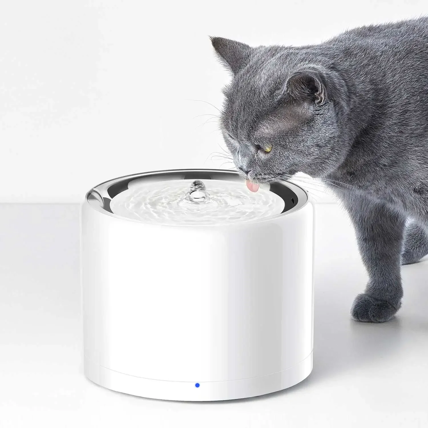 Fontana intelligente per animali domestici serie CANBOUN EVERSWEET con pompa ultra silenziosa wireless e alimentatore automatico per animali domestici con controllo tramite app
