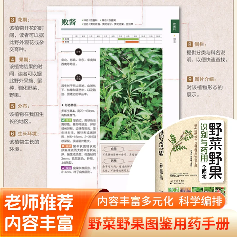 Wild Vegetables & Fruits Field Guide, Common Chinese Plants, Outdoor Identification Handbook