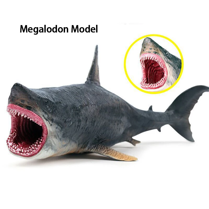 

Simulated marine animal model Megalodon shark Great white shark tiger shark children's toy Shark model prank toy home decoration