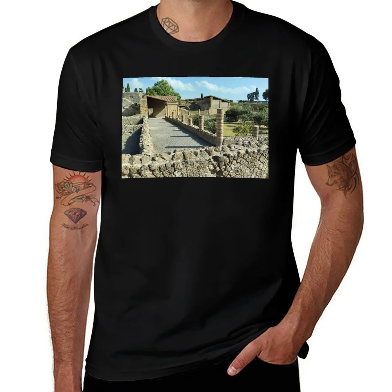 

Ercolano: Echoes of Antiquity T-Shirt custom t shirt blanks vintage t shirts luxury t-shirt designer t shirt men