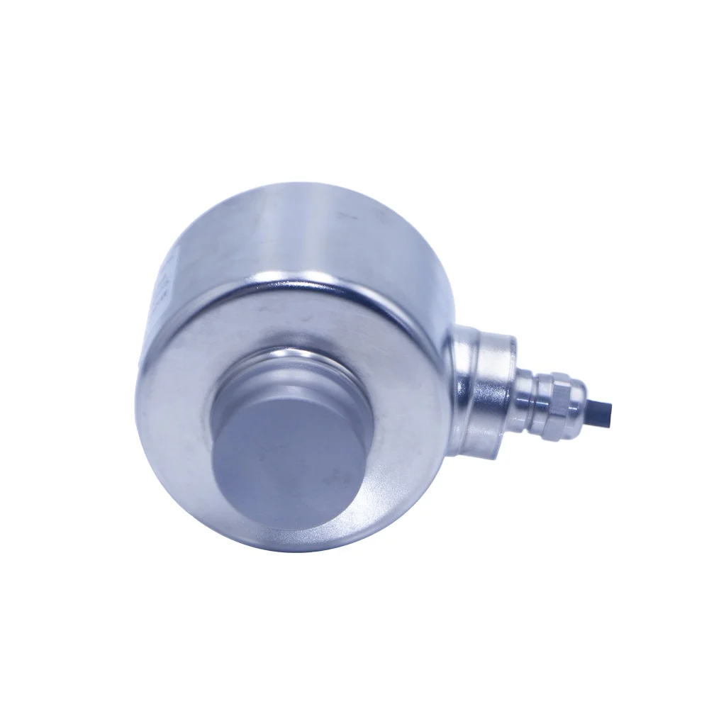 China Professional …