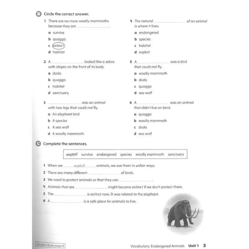 Oxford Discover 2e Arbeitsbuch der Stufe 5, mit Online-Übungen Koustaff Oxford University Press 9780194054010 Buch