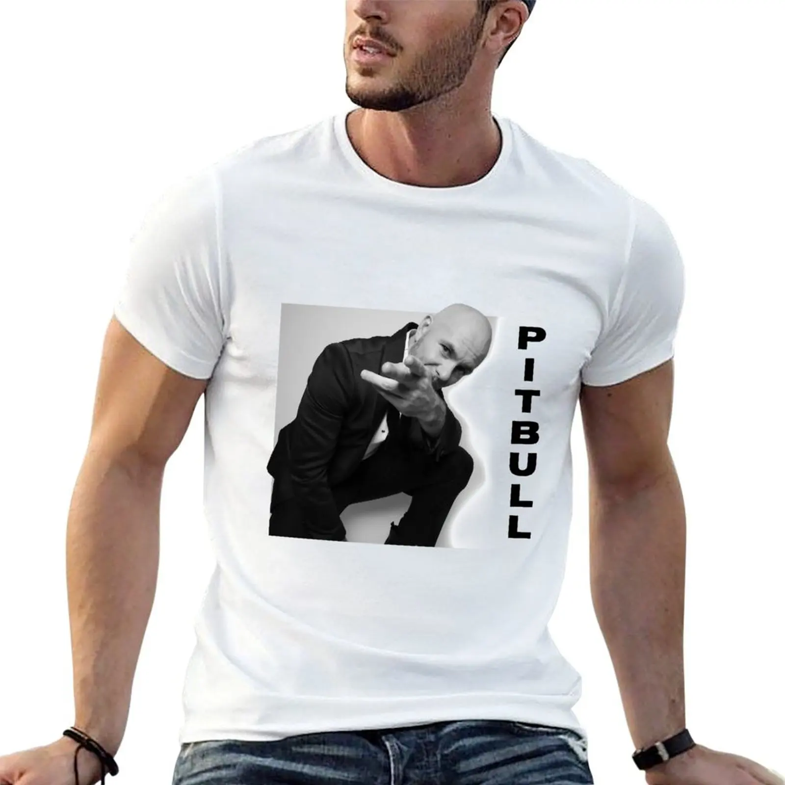 Pitbull Mr.Worldwid…