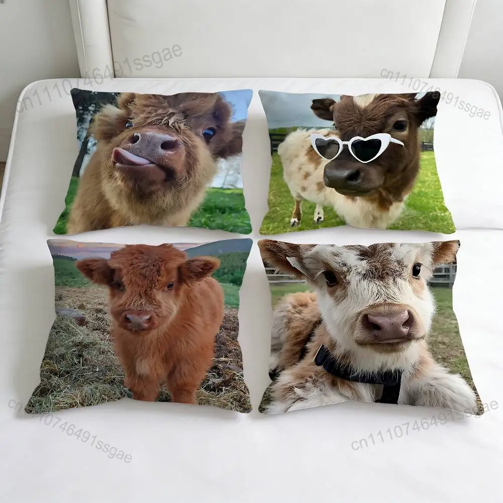 

Cute H-Highland Cow Decorative Square Pillow Cover Modern Cushion Case for Living Room Bedroom