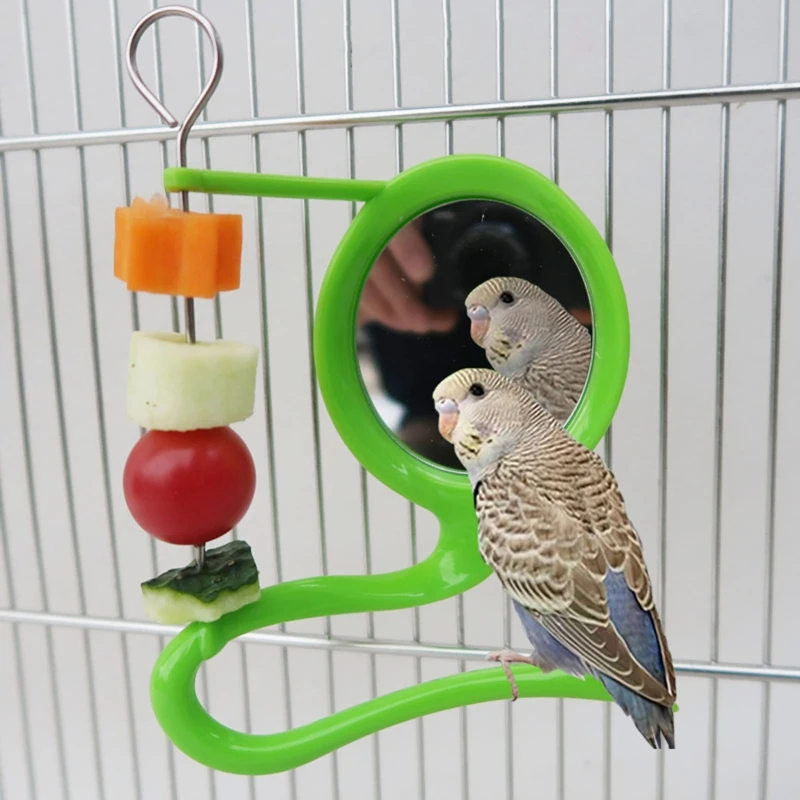 Bird Mirror Toy for Cage with Plastic Perch Stand Metal Fruit Vegetable Holder Feeder for Lovebirds Finches Canaries