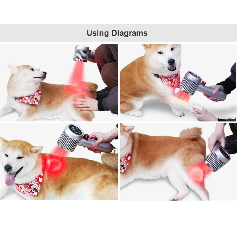 High-Power Veterinary Laser Therapy Device for Equine Surgical Medical Treatment for Dog